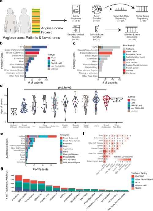 Figure from “Patient-partnered multiomics reveals the molecular architecture of angiosarcoma”
