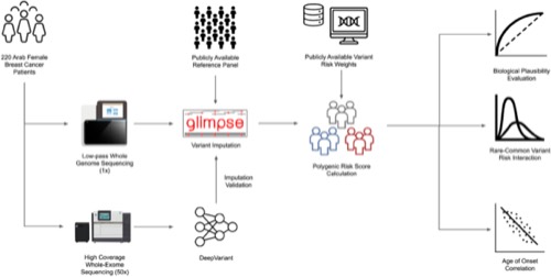 Figure from “Interplay of Mendelian and polygenic risk factors in Arab breast cancer patients”