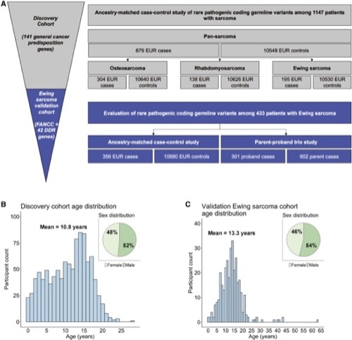 Figure from “Germline predisposition to pediatric Ewing sarcoma is characterized by inherited pathogenic variants in DNA damage repair genes”